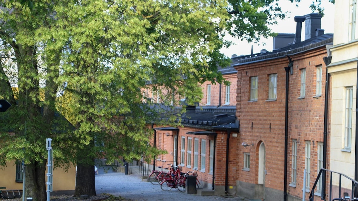Kā uzlabot savu ikdienas rutīnu